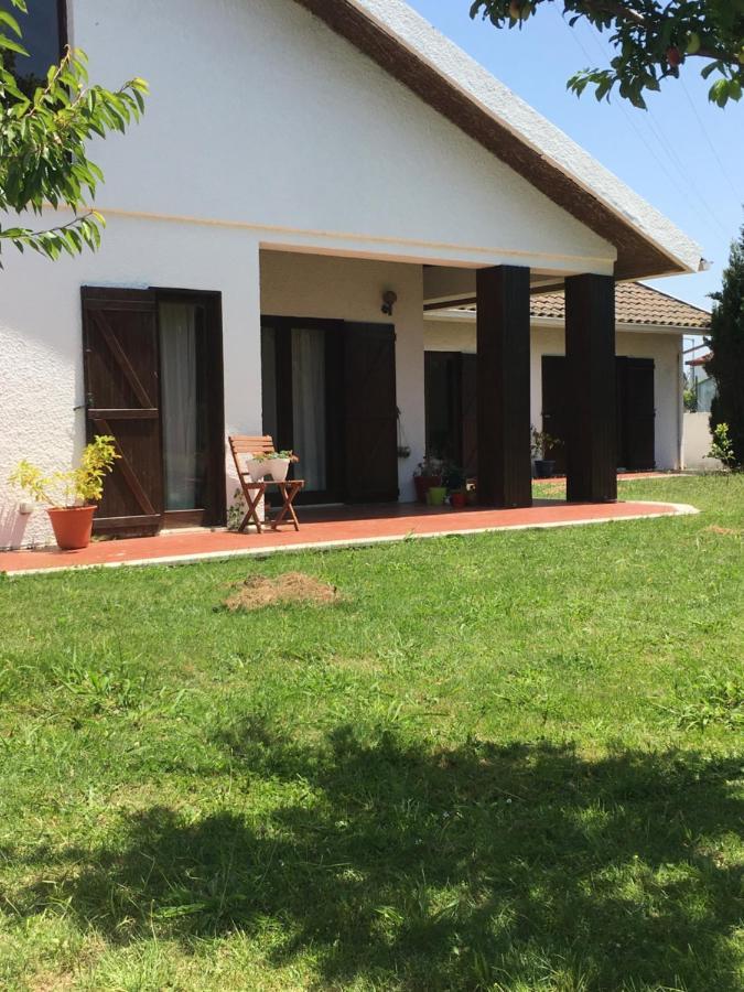 Hotel Happy Ria House Chousa Velha Exteriér fotografie